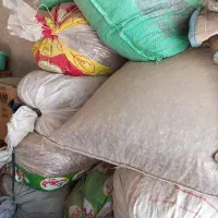 کنگه خارکی