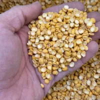 حبوبات عمده|خوردنی و آشامیدنی|تهران, بهمن یار|دیوار