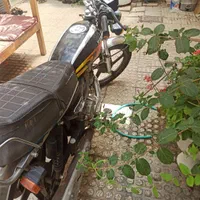 احسان ۹۸|موتورسیکلت|اصفهان, عطار نیشابوری|دیوار
