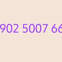 رندترین و به قیمت ترین