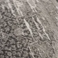 فرش وینتیج|فرش|تهران, شمسآباد|دیوار