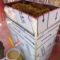 فروش دستگاه آبغوره گیری و آبلیمو گیری نو نو