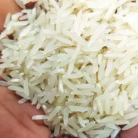 برنج شاه دانه فجر سوزنی۹۰ روزه|خوردنی و آشامیدنی|فاضل آباد, |دیوار