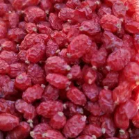 زرشک زیر قیمت کشاورز