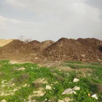 کود گوسفندی