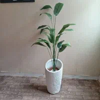 درختچه نیمه مصنوعی