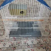 قفس مرغ عشق