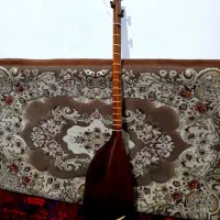 تنبور حرفه‌ای کهنه