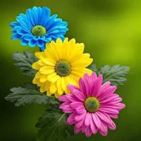 فروش خط همراه اول