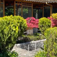جذب همکار در رستوران (نیروی کار ) رشت کوچصفهان