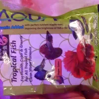 آکواریوم و ماهی