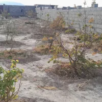 فروش باغ روبروی شهرک رضوی بسطام|فروش زمین و ملک کلنگی|بسطام, |دیوار