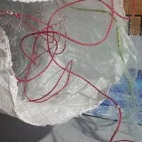 تور ماهیگیری (شبچ)