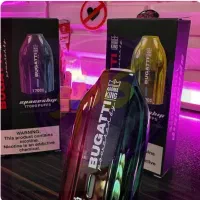 پاد ۱۷۰۰۰ بوگاتی