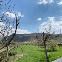 فروش-زمین-226-متری-خوش-قواره