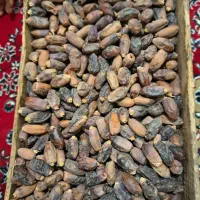 فروش  خرماء دیری   موجود|حراج|کارون, |دیوار