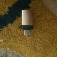 بروایه بیت گویطع