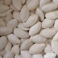 تخمه|خوردنی و آشامیدنی|ارومیه, |دیوار