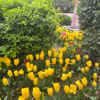تور مسافرتی کاشان