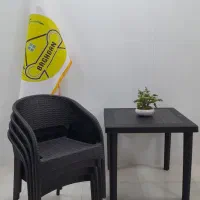 صندلی پلاستیکی مدل ۹۹۲ کافه ویلا رستوران/باغدان