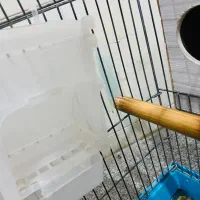 قفس پرنده