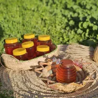 عسل طبیعی خالص (کیفیت ممتاز)