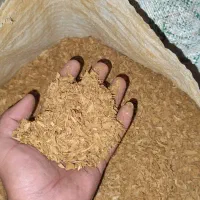 پوست بادام|خدمات باغبانی و درختکاری|نجف‌آباد, یزدانشهر|دیوار