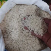 برنج هاشمی آستانه اشرفیه مجلسی