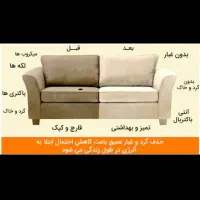 قالیشویی ومبل شویی ابریشم بافیلم شستشوی قالی|خدمات نظافت|رفسنجان, |دیوار
