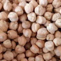 نخود کرمانشاه هیتر بخاری کنترل دار