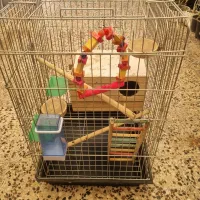 قفس عروس هلندی بسیار تمیز با تمام وسایل