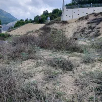 زمین 230 متر در بافت واقع در روستای لنگر|فروش زمین و ملک کلنگی|کیاسر, |دیوار