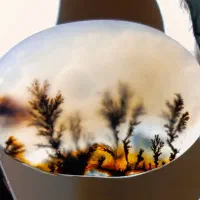 نگین عقیق شجر