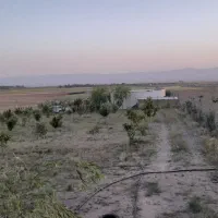 باغ فروشی درسهرین فروش فوری معاوضه باماشین مدل بال