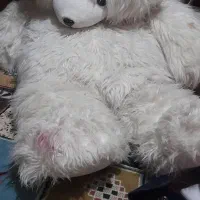 برای خوشحالی|اسباببازی|گرگان, |دیوار