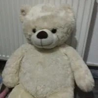 عروسک پوایشی