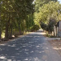 ۲۵۰ متر زمین مناسب ساخت ویلا بهترین لوکیشن سهیلیه|فروش زمین و ملک کلنگی|کرج, دهقان ویلا|دیوار