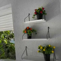 شلف|کتابخانه، شلف، قفسه‌های دیواری|تهران, وحیدیه|دیوار