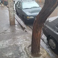 ماشین آردی پژو|خودرو سواری و وانت|تبریز, |دیوار