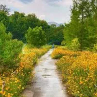 زمین ملکی داخل مجتمع زاک ماریان حسن آباد فردوسی