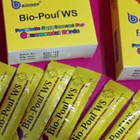 پروبیوتیک پرنده