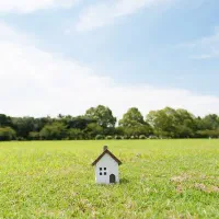 فروش یک قطعه زمین در دینور
