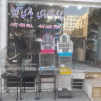 پرنده سرا انواع دان دارو  پرنده