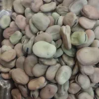 باقلا خشک ودرشت  بالای 5کیلو تخفیف داده میشود|خوردنی و آشامیدنی|آذرشهر, |دیوار