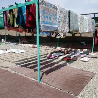 کارخانه قالیشویی ریزبافت