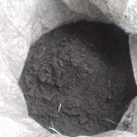 خاک زغال