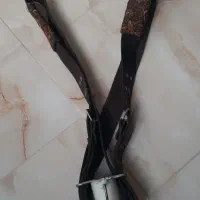 کمربندعلامت