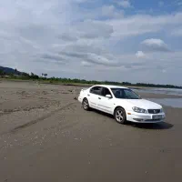 ماکسیما ۸۱ سفید|خودرو سواری و وانت|تهران, شیخ هادی|دیوار