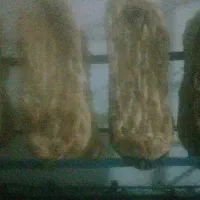 نان خشک خشک بدون ذره ای کپک