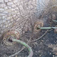 ادوات کشاورزی|قطعات یدکی و لوازم جانبی|سده (فارس), |دیوار